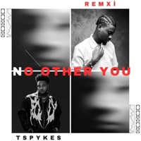 No Other You - Single - Remxi & Tspykes