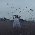 Corka Komety