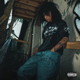 1111 (feat. Digitalpips) TopGirl Stunna