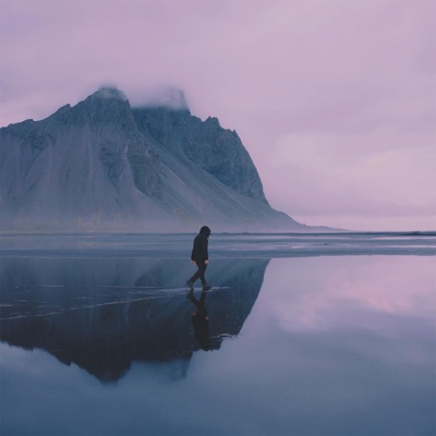 Into the Wild - Single