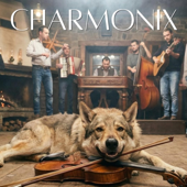 N-a mai rămas nimic