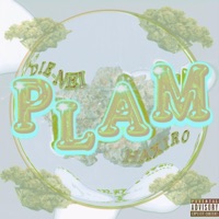 Plam (feat. Dienei) - Single - Haxiro