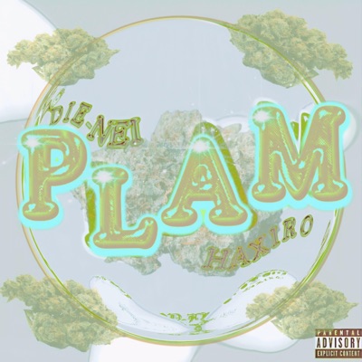 Plam (feat. Dienei) - Single