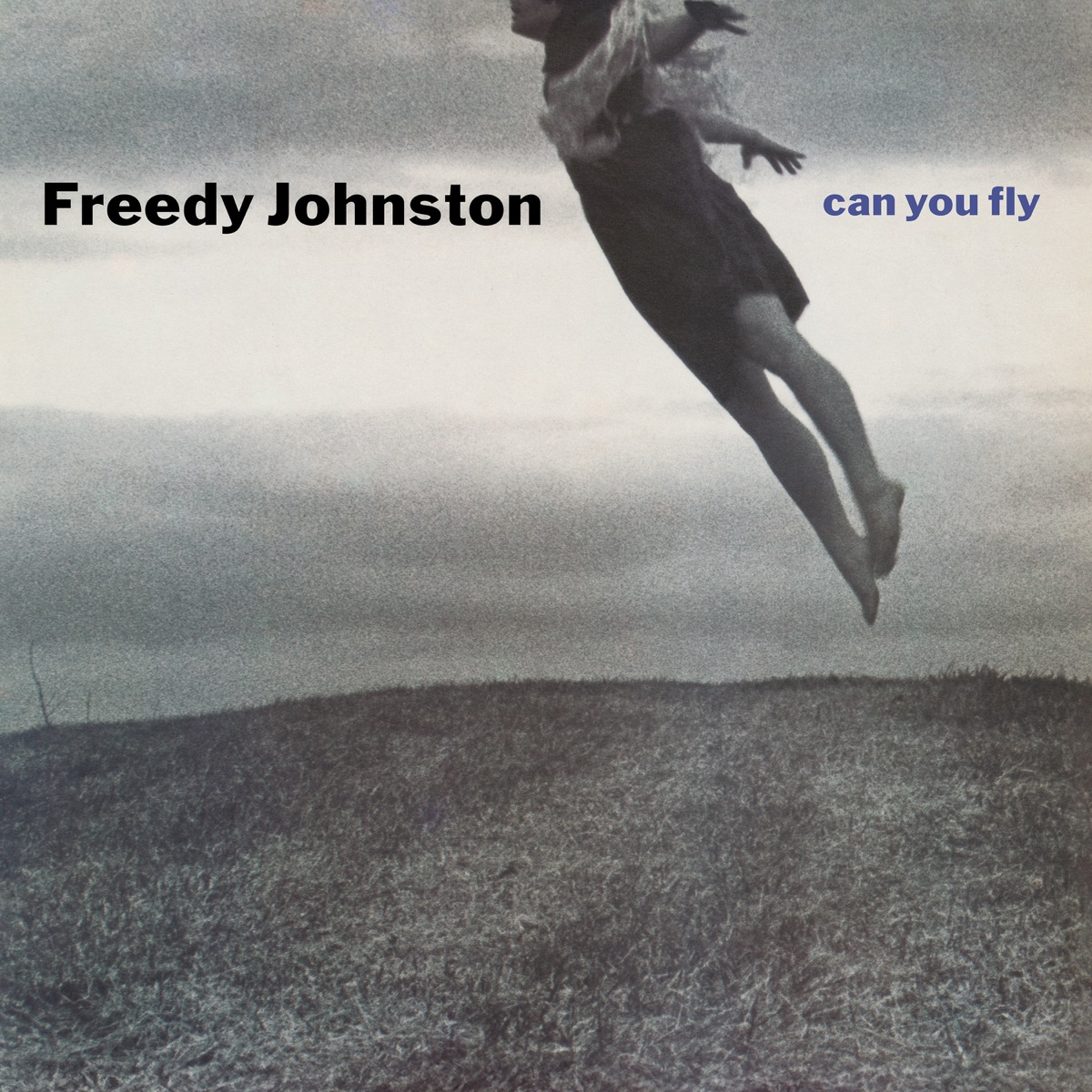 Freedy Johnston - Can You Fly (Deluxe Edition) (2025) [iTunes Plus AAC M4A]-新房子