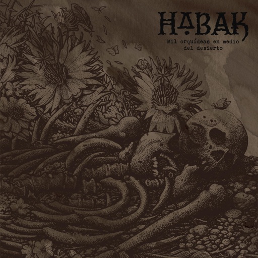 Album artwork