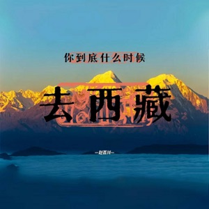 你到底什么时候去西藏 (DJ光波版) - Single