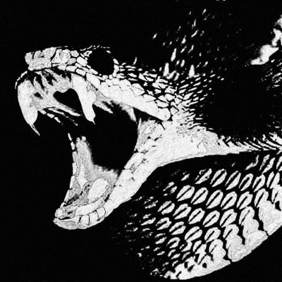 TYPE CARTI (feat. ChinoMilk) - Single