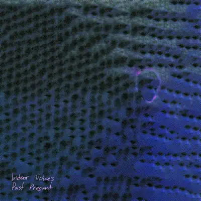 Indoor Voicesの「Past Present」を聴こう。