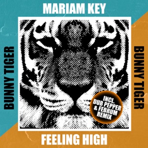 Feeling High - Single