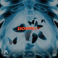 Down - Single - Menshee & WVLDE
