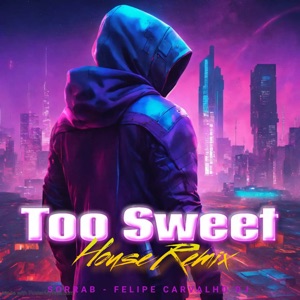 Too Sweet (House Remix)