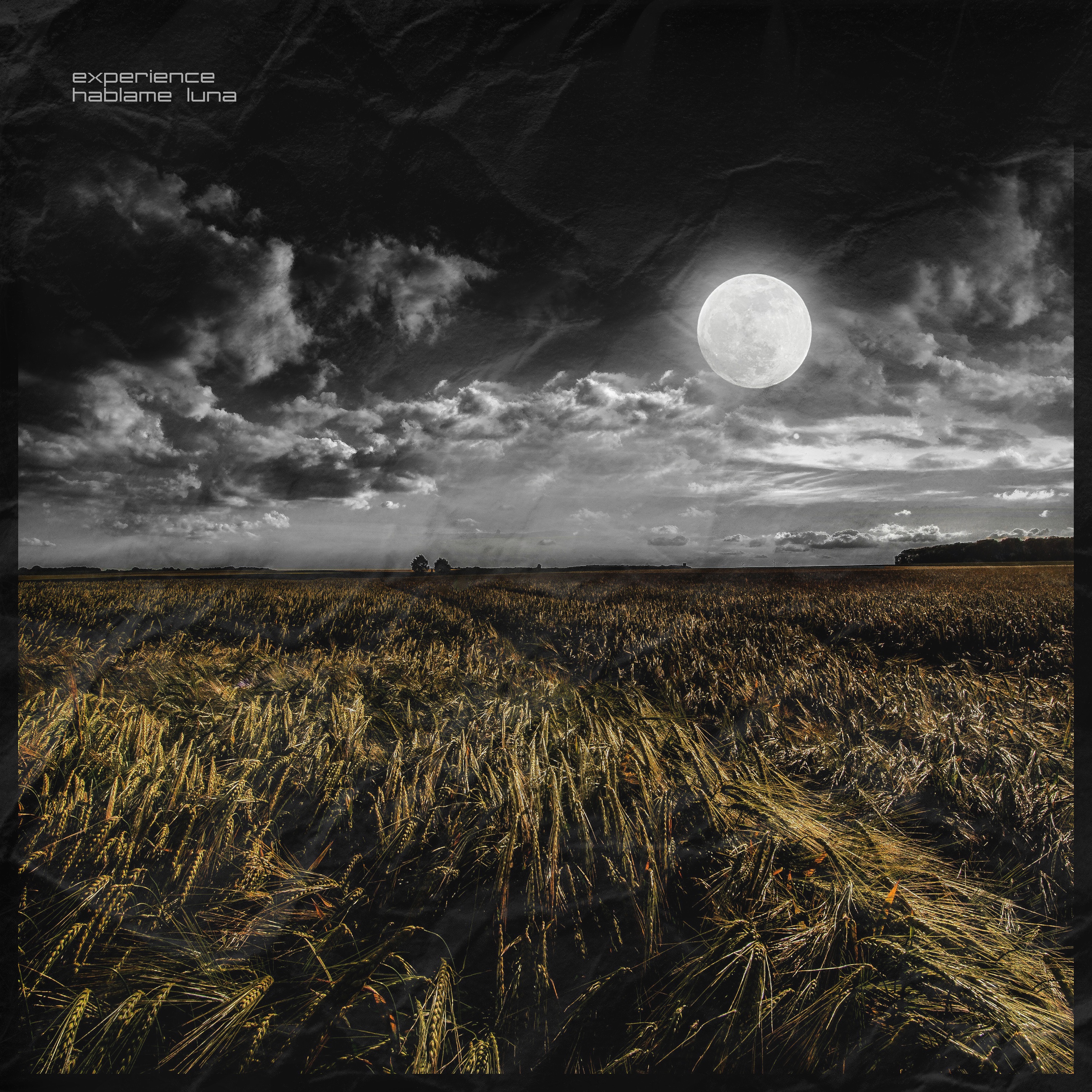 Háblame Luna - Single