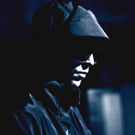 Flagman Shuffle Baby Sitter