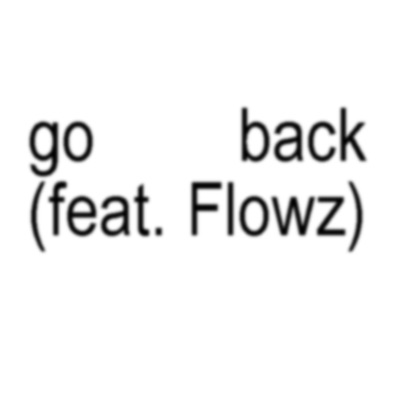 go back (feat. Flowz) - Single