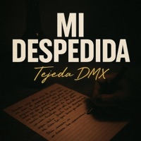Mi Despedida - Single - Tejeda DMX
