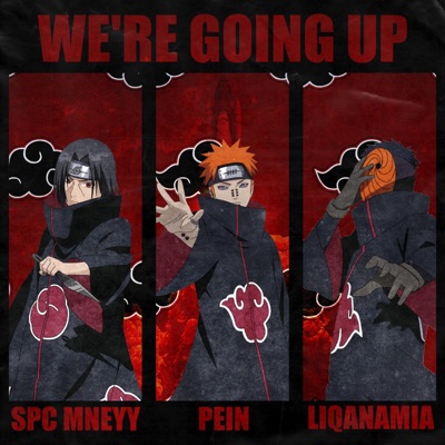 We're Going Up (feat. Liqanamia & SPC Mneyy) - Single