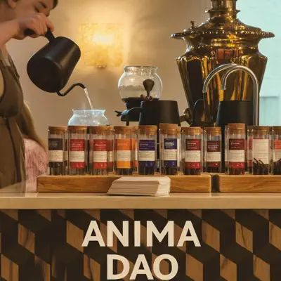 Escucha Guqin for Deep Programming Flow (coding) de Anima Dao.