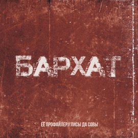 Бархат Её профайлер & лисы да совы
