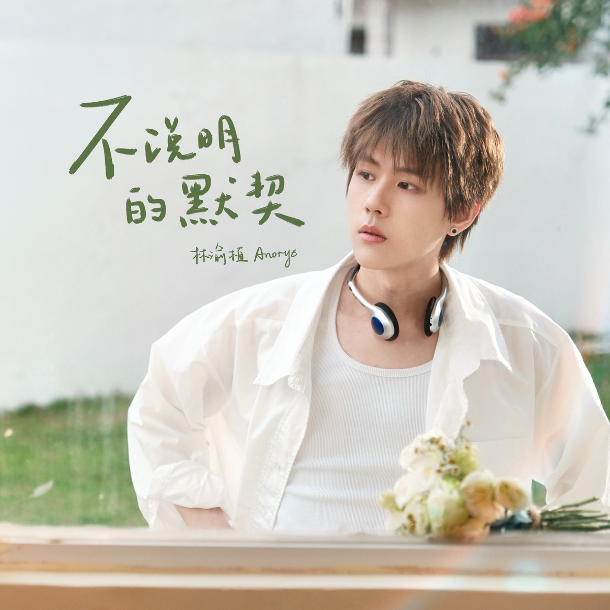 林渝植Anoryz - 不说明的默契 - Single (2025) [iTunes Plus AAC M4A]-新房子