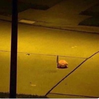 sokaiixo - Single - whyysoraa