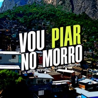 Vou Piar no Morro - Single - DJ RD DO MARTINS, Lil Brun & PL Torvic