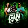 Mc Neguinho do Morro, Vilão no beat, MC Nina & Cartel Hits - Quando Eu Tomo Gin de 10
