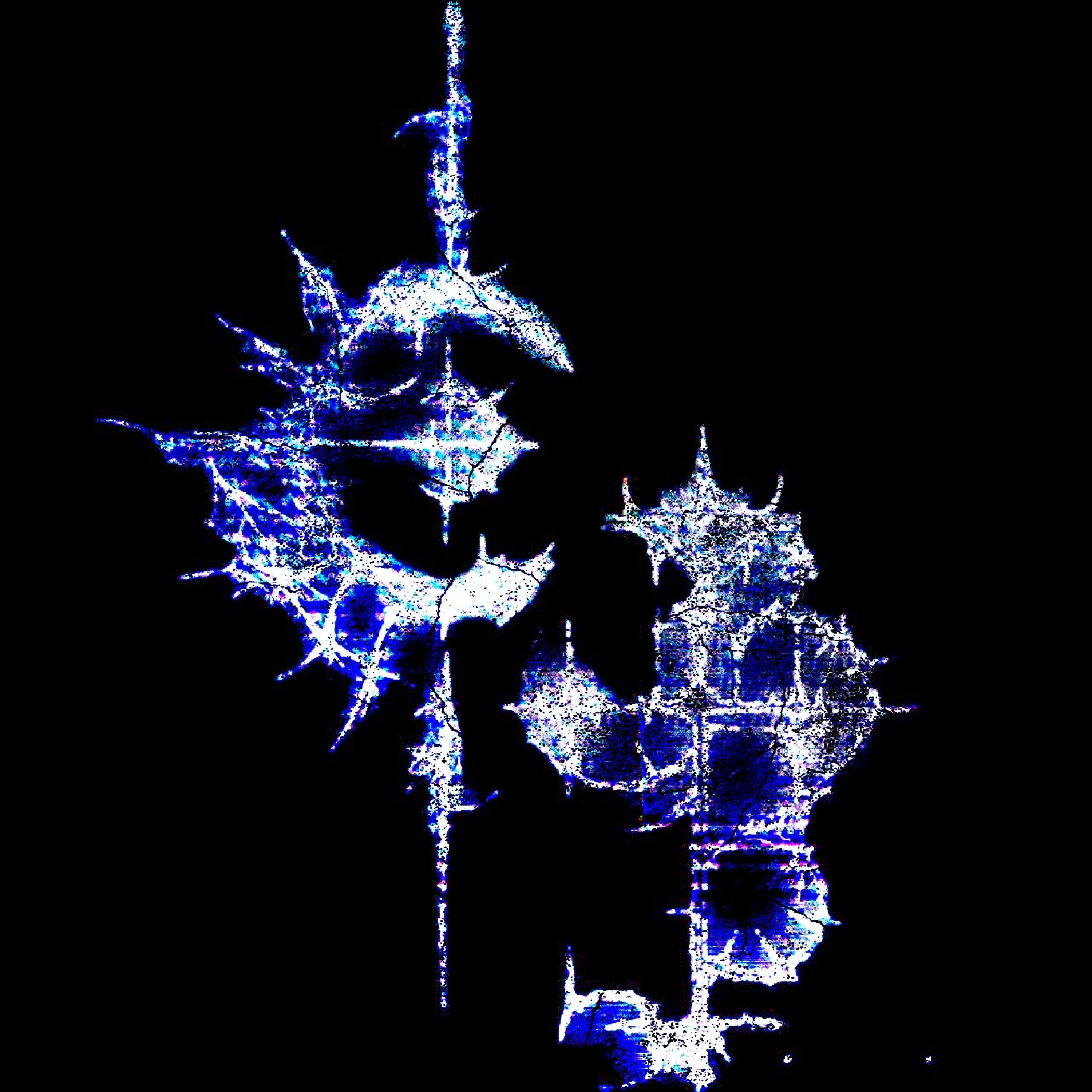 lets fall in love - Single