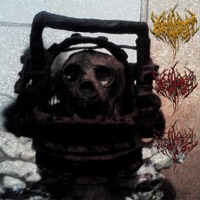 FLAWED DESIGN - Single - Hauntgat