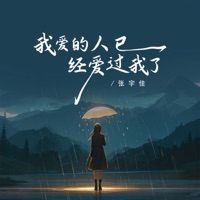 我爱的人已经爱过我了 - Single - 张宇佳