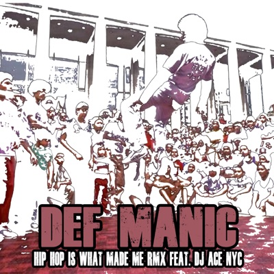 Hip Hop Is What Made Me (feat. DJ ACE NYC & Larissa Lambert) - Single