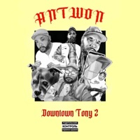 DOWNTOWN TONY 2 - Antwon