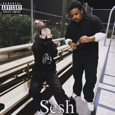 Sesh (feat. Malz) - Single