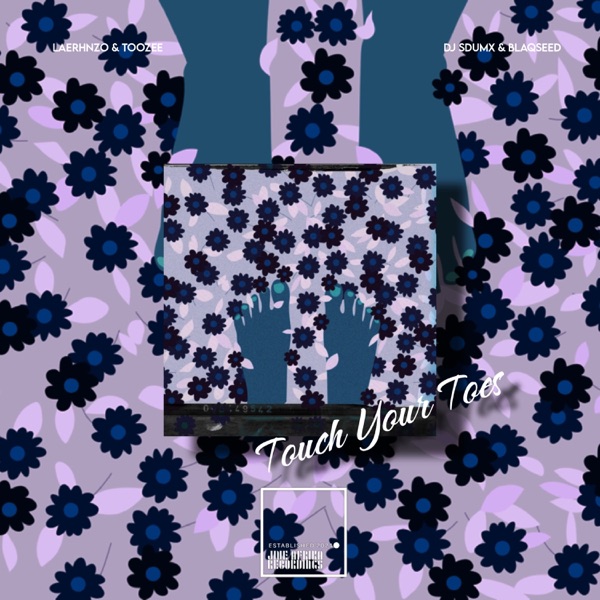 Touch Your Toes (feat. Dj Sdumx & Blaqseed) - Single
