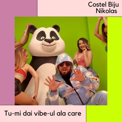 Tu-mi dai vibe-ul ala care (feat. Nikolas) - Single