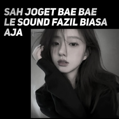Andikaa Saputraa - SAH JOGET BAE BAE LE SOUND FAZIL BIASA AJA