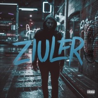 Somos Los Duros 1.5 - Single - Ziuler