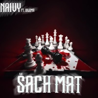 Šach-MAT (feat. Dilema & prod. Skerb) - Single - Naivy Official