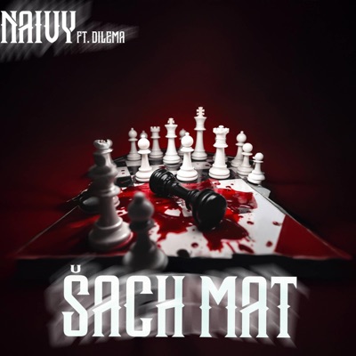 Šach-MAT (feat. Dilema & prod. Skerb) - Single