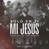 Solo en ti mi Jesús
