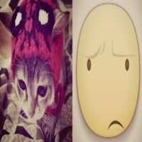 ja passei as páginas (feat. luvtwic3) - Single - licas!