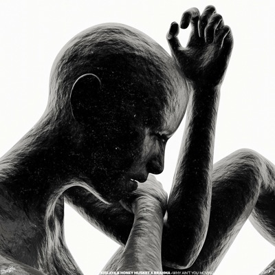 Why Ain’t You Moving (VIP Remix) - Single