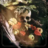 Lurking Beneath The Pines — Osi And The Jupiter