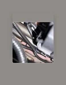 Listen to Capital Wound, watch music videos, read bio, see tour dates & more!