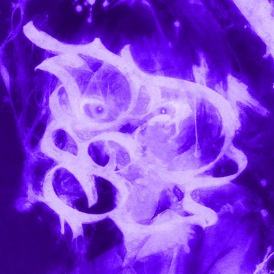 LIABILITY (feat. SAYE) [Instrumental] - Single