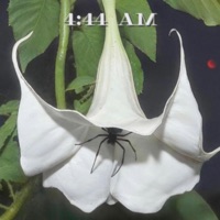 4:44 AM - EP - GhostTheGoon