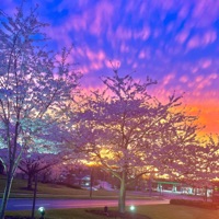 Feeling the Vibe (feat. BSG Dame & NFS MatteBlacK) - Single - BSG Halo