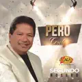 20 Rosas