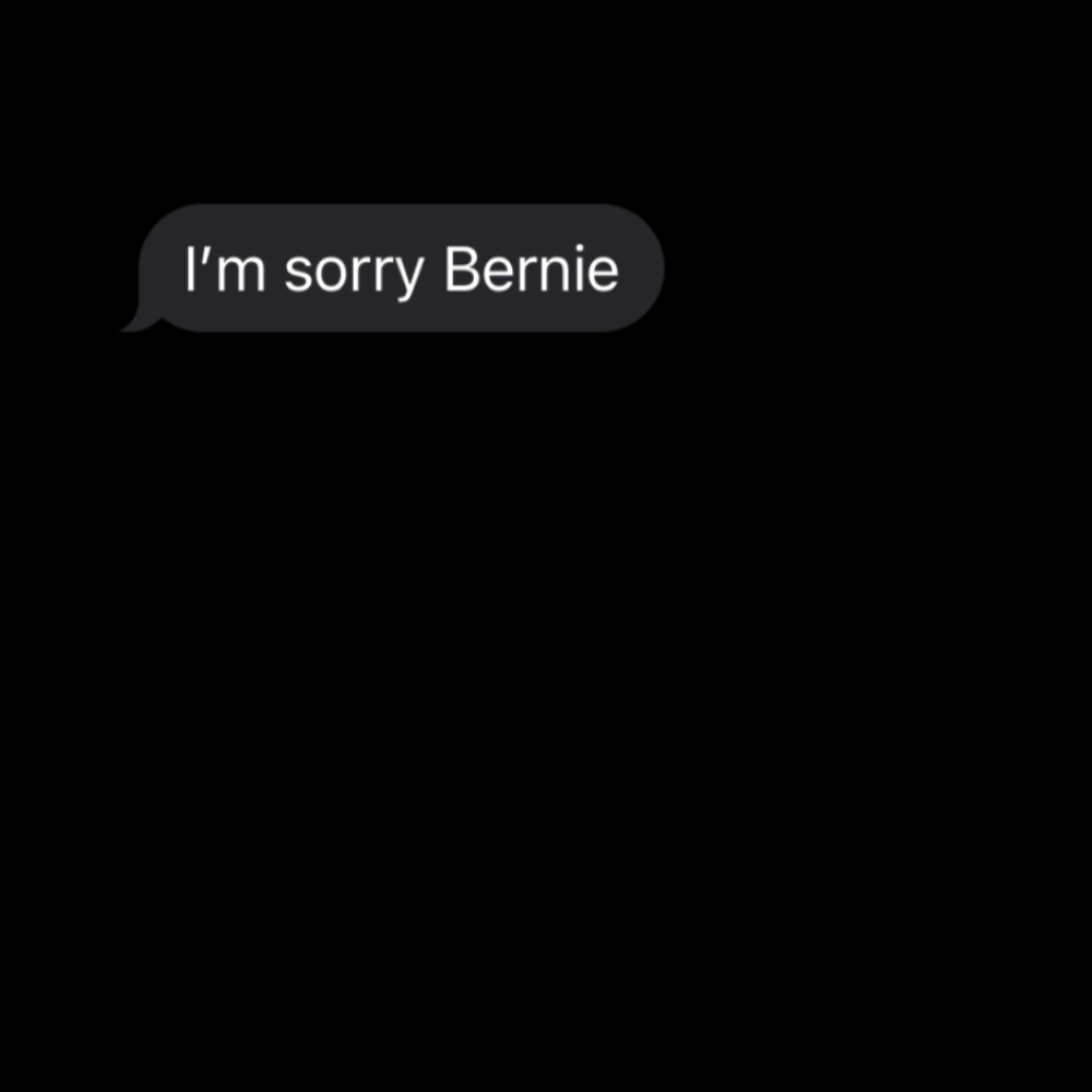 I'm Sorry Bernie - Single