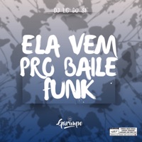 Ela vem pro Baile Funk - Single - DJ LG DO SF