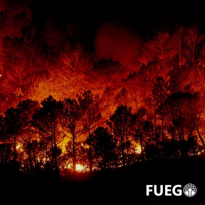 Fuego - Single